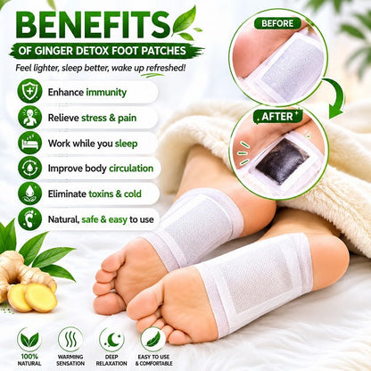 🌿 Ginger Detox Foot Patch Deep Cleansing & Wellness Support (Pack Of 20)
