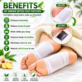 🌿 Ginger Detox Foot Patch Deep Cleansing & Wellness Support (Pack Of 20)