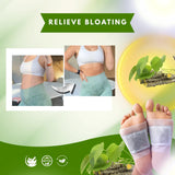 🌿 Herbal Giloy Detox Foot Patch ( Buy 1 Get 1 Free= Pack of 2)