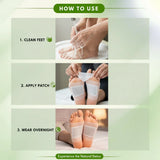 🌿 Ginger Detox Foot Patch ( Buy 1 Get 1 Free= Pack of 2)